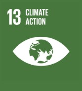 ODS 13