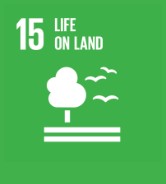 ODS 15